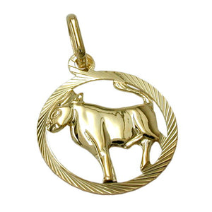 Anhänger 15mm Sternzeichen Stier 9Kt GOLD + Kette  42cm 1x1mm