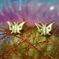 
Ohrstecker Ohrring 5x7mm Schmetterling glänzend 9Kt GOLD

