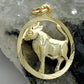 Anhänger 15mm Sternzeichen Stier 9Kt GOLD + Kette  42cm 1x1mm
